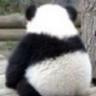 һ݆